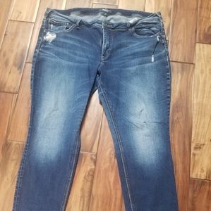 Silver Sam Jeans. Plus size 24/L29